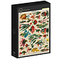 Grafika Fishes Puzzle 1000pcs