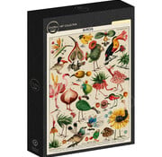 Grafika Grafika Birds - Beto Val Puzzle 500pcs