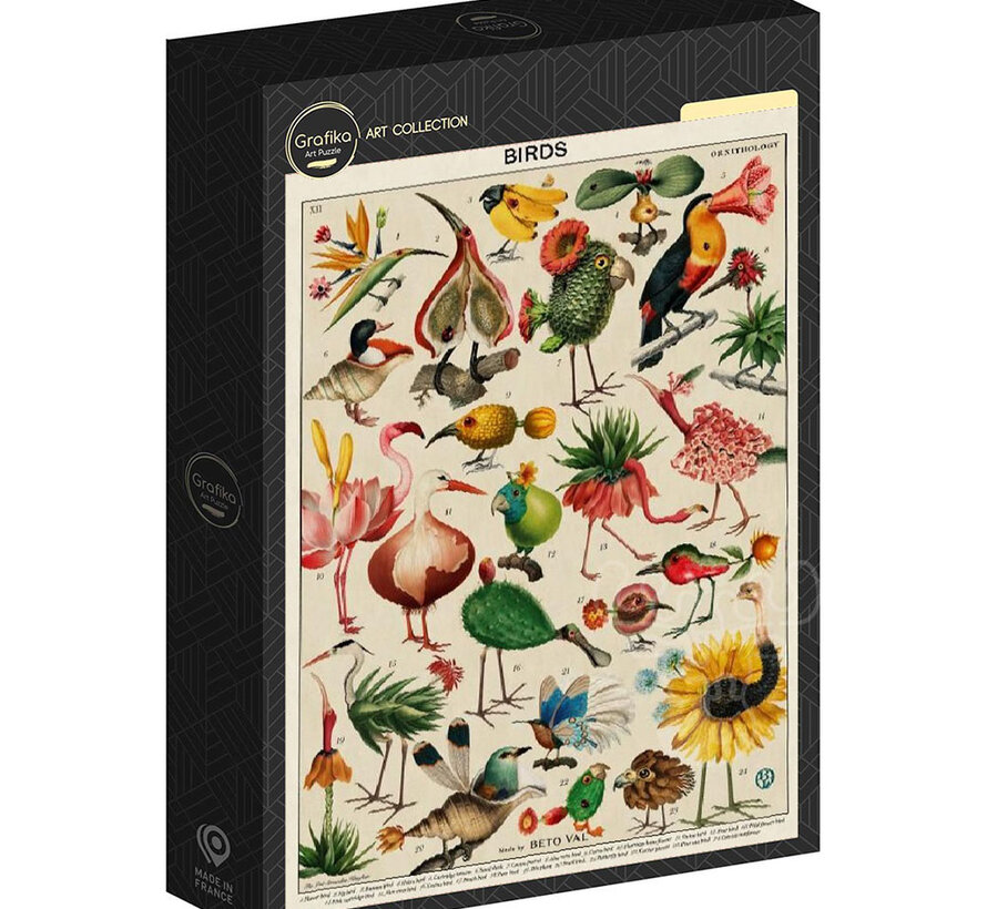Grafika Birds - Beto Val Puzzle 500pcs