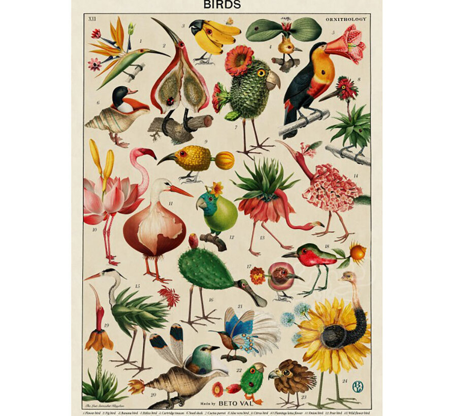 Grafika Birds - Beto Val Puzzle 500pcs
