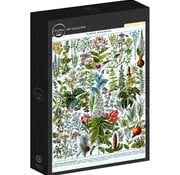 Grafika Grafika Larousse: Medicinal Plants Puzzle 1000pcs