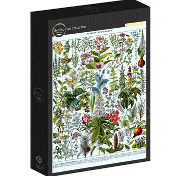 Grafika Grafika Larousse: Medicinal Plants Puzzle 1000pcs
