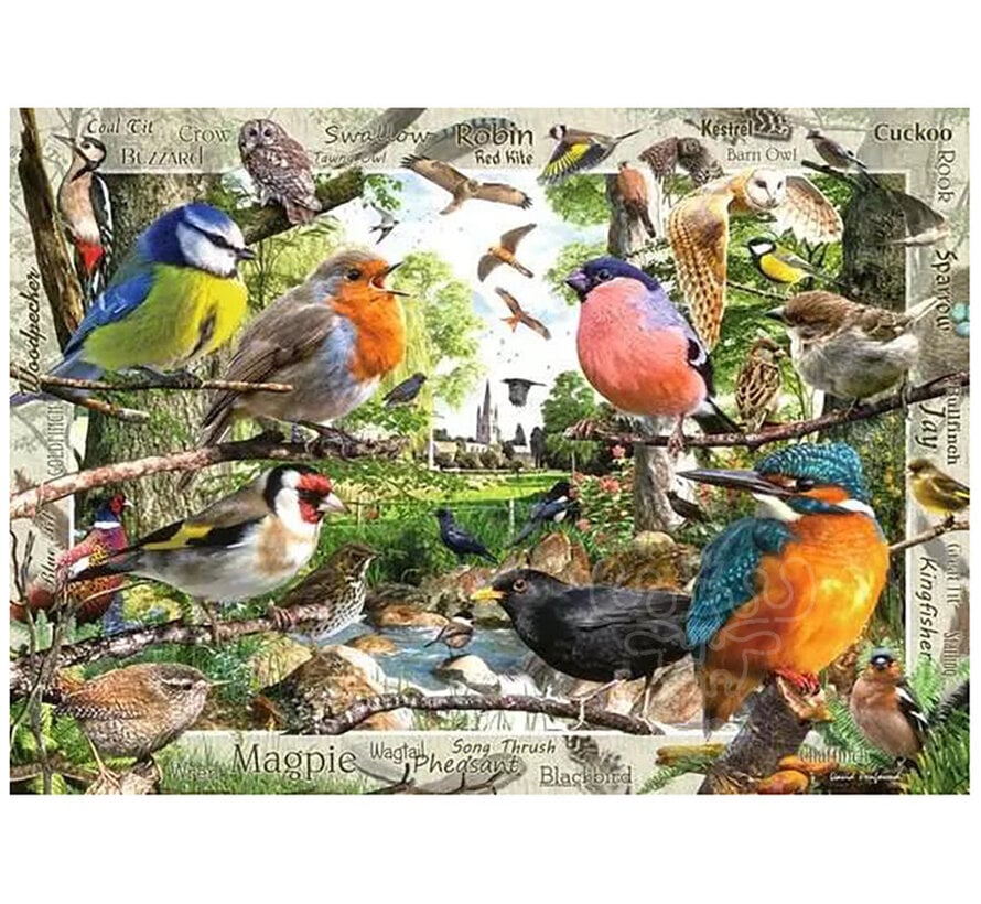 Ravensburger Our Feathered Friends Puzzle 1000pcs
