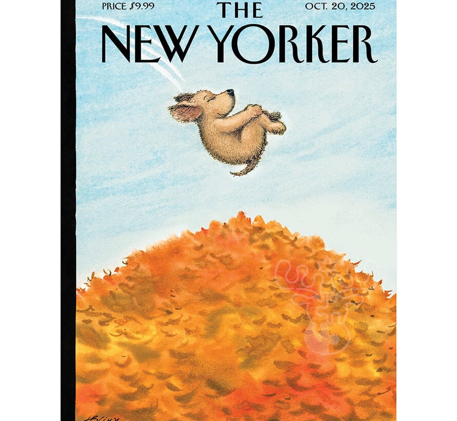 New York Puzzle Co. The New Yorker: Cannonball Puzzle 300pcs