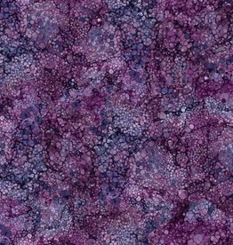 Northcott Bliss Bold and Bright Amethyst (1/2m)- DP23887-84