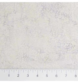 Northcott Essentials Case Packs (1/2m)- 81000-800