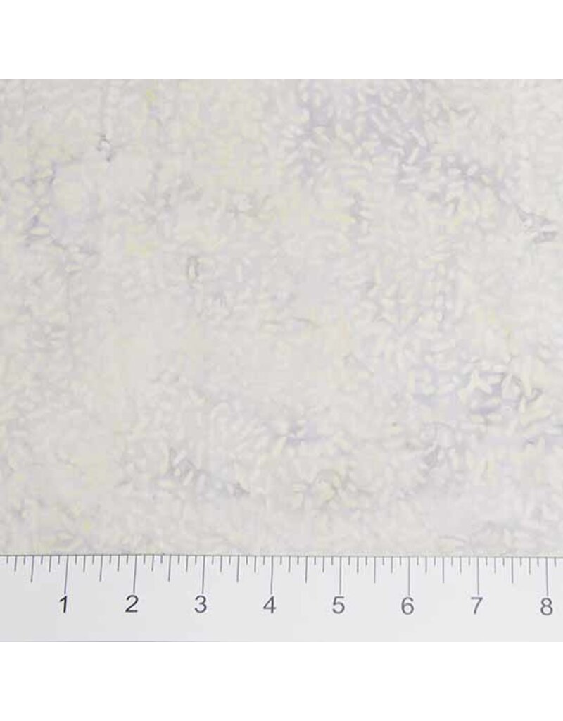 Northcott Essentials Case Packs (1/2m)- 81000-800