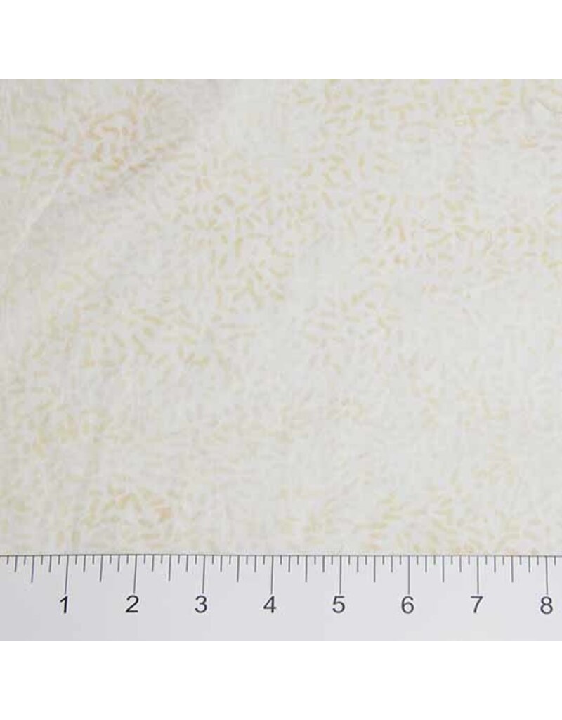 Northcott Essentials Case Packs (1/2m)- 81000-120