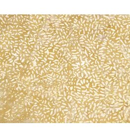 Northcott Essentials Case Packs (1/2m)- 81000-310