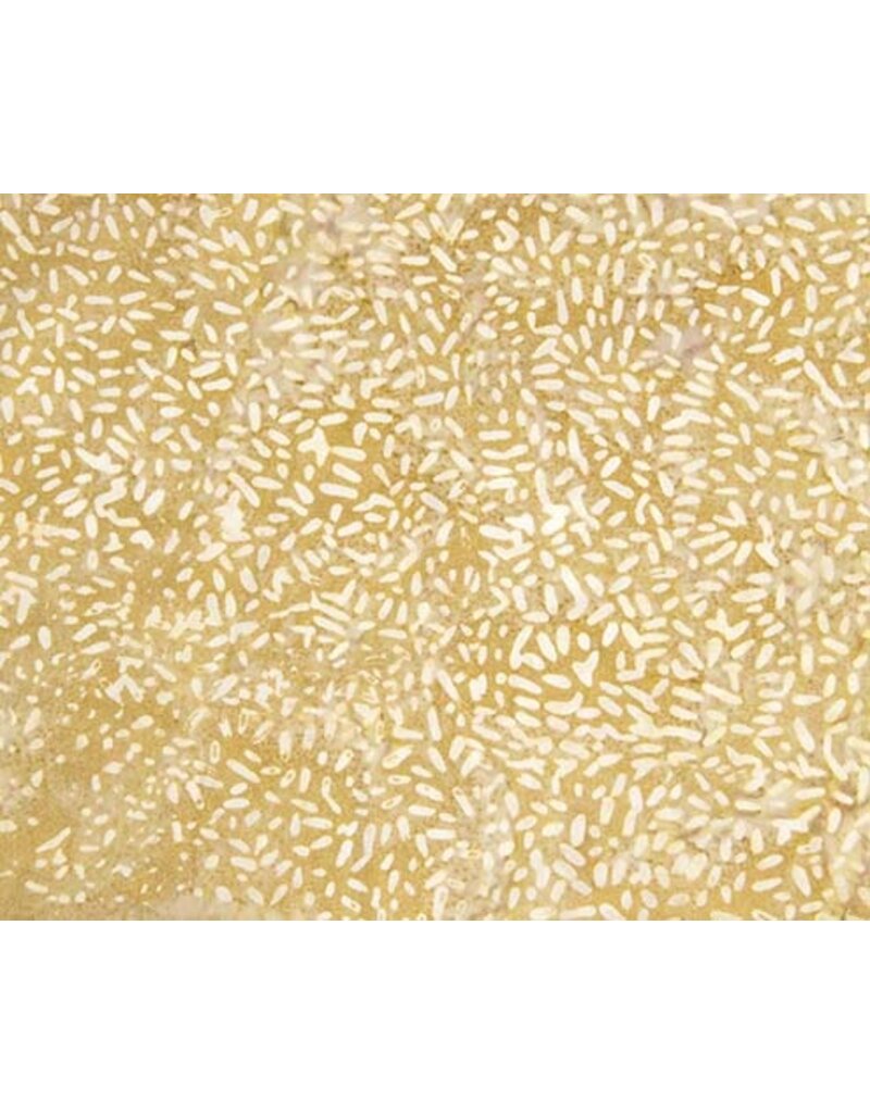 Northcott Essentials Case Packs (1/2m)- 81000-310