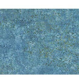 Northcott Essentials Case Packs (1/2m)- 81000-625