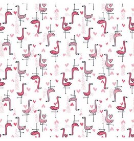 White Flamingo