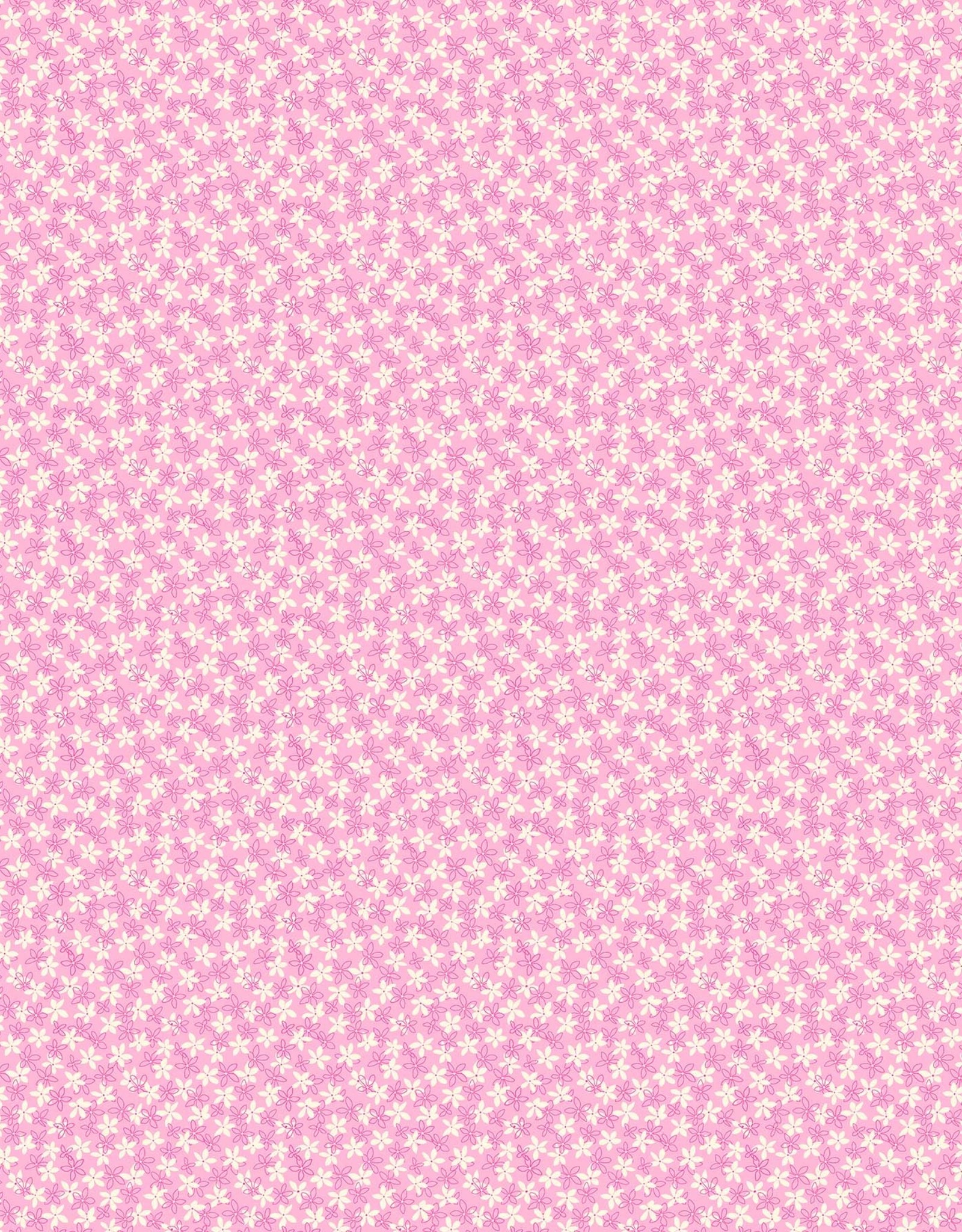 Primavera Light Pink tiny gentian  (1/2m) 90319-20