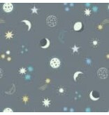 Night sky on Grey Glows in the dark