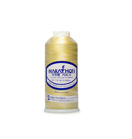 Embroidery  Thread  (1000m)- Ombre Yellow Variegated Thread 5503