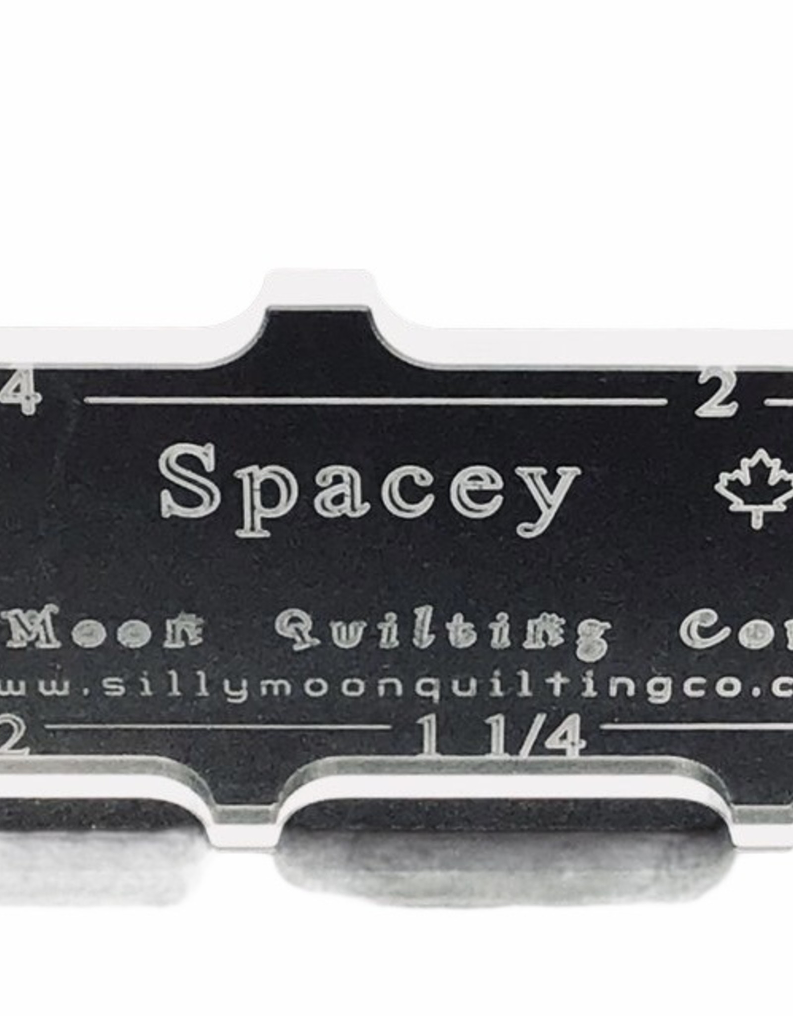 Silly Moon Spacey