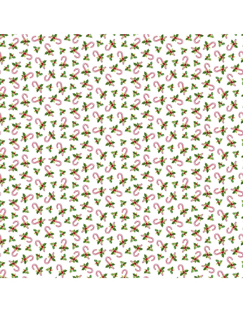 Northcott Here Comes Santa 24072-10 (1/2m)