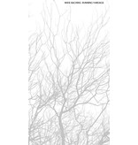 Northcott Silhouette Wide Backing  B23985-92