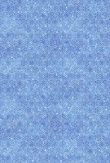 Northcott Polar Frost Mid Blue Grid 24841-44