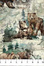 Northcott Northern Peaks - Sage Bears DP25167-71