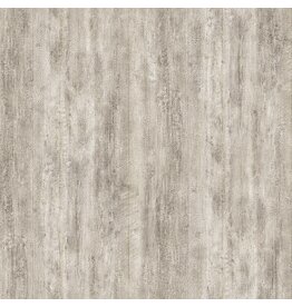 Northcott Timberland Trail Beige F25011-14