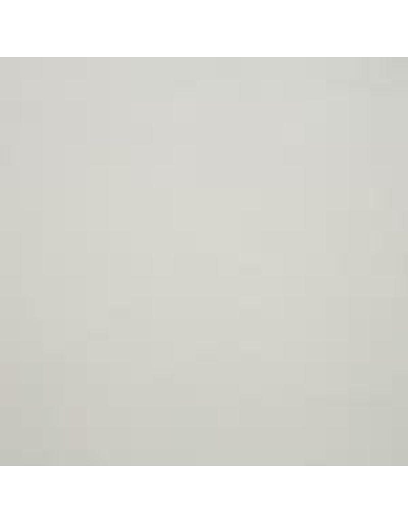 Shannon Fabrics Cuddle Natural