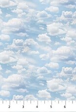 Northcott Naturescapes  Clouds 25490-42