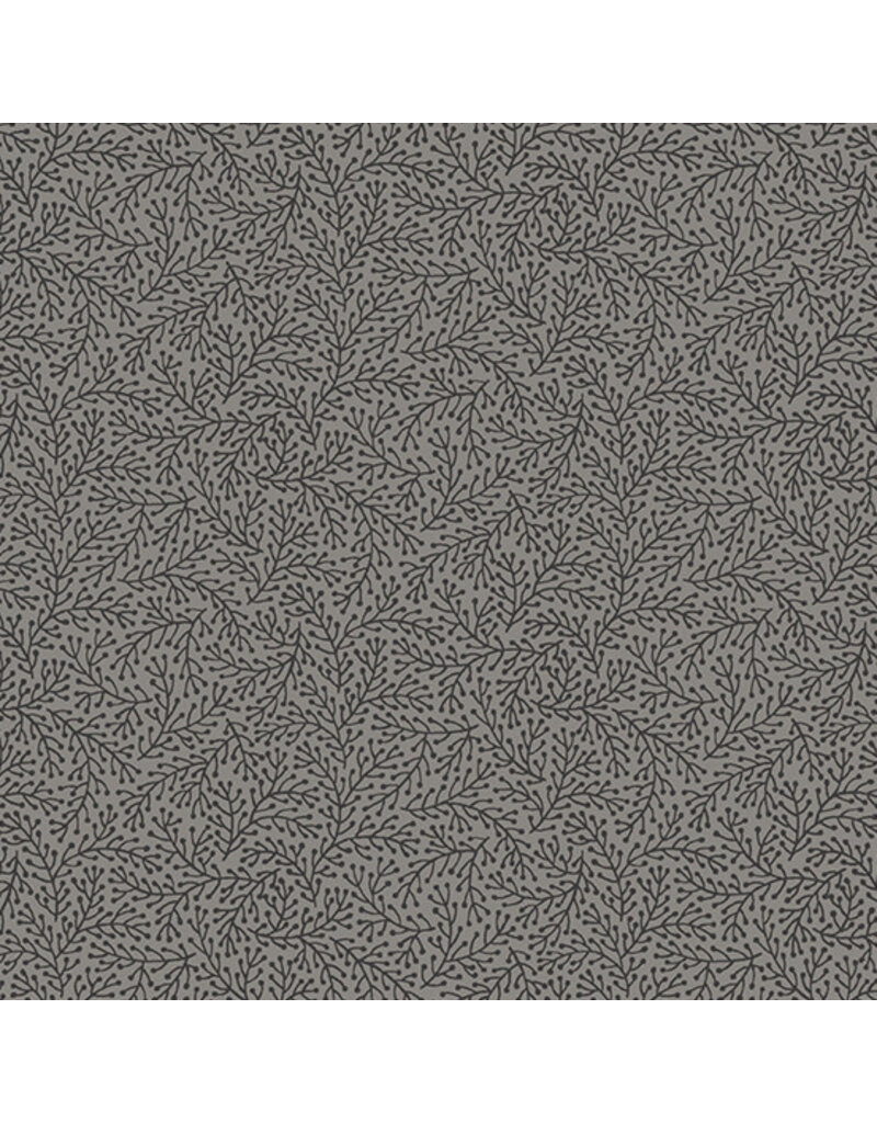 Andover Fabrics Tangent Black Fern   A779-K