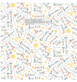 Timeless Treasure Wish & Wonder Text-C2499