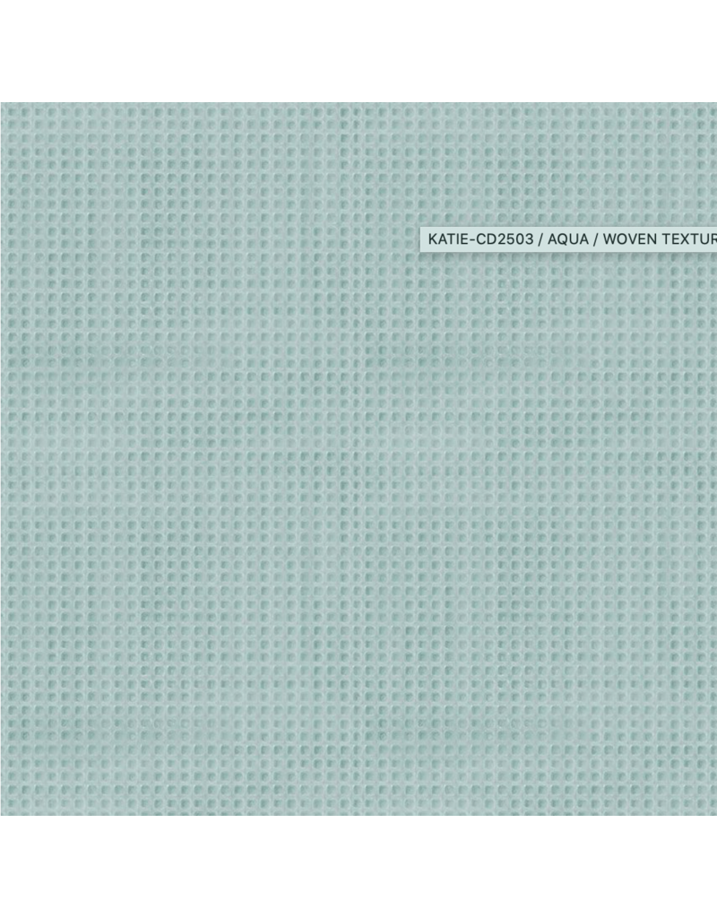 Timeless Treasure Wish & Wonder Woven Texture  Aqua CD2503