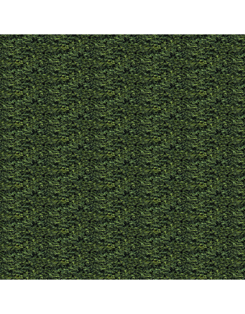 Northcott Naturescapes  Spruce 25499-79