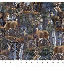 Northcott First Light Scenic DP26762-95