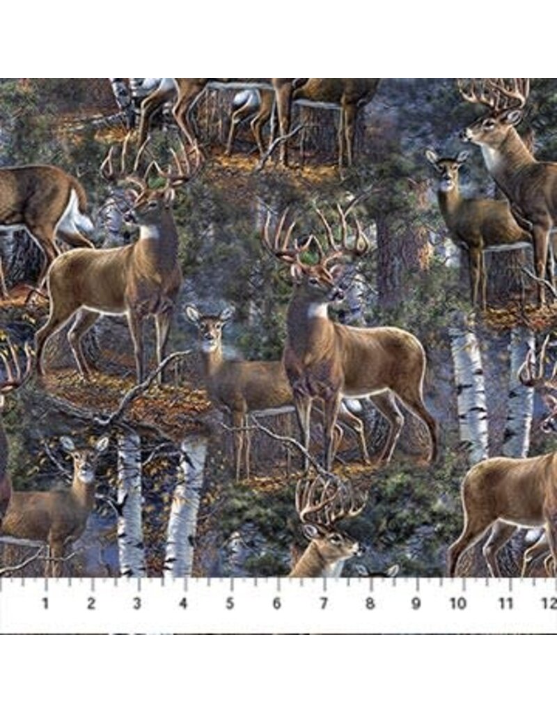 Northcott First Light Scenic DP26762-95