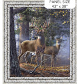 Northcott First Light  Panel DP26760-95