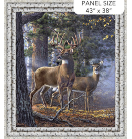 Northcott First Light  Panel DP26760-95