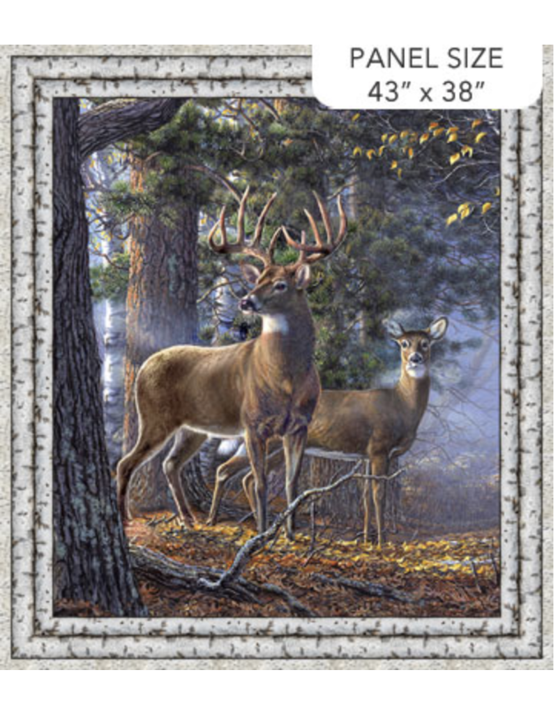 Northcott First Light  Panel DP26760-95