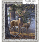 Northcott First Light  Panel DP26760-95