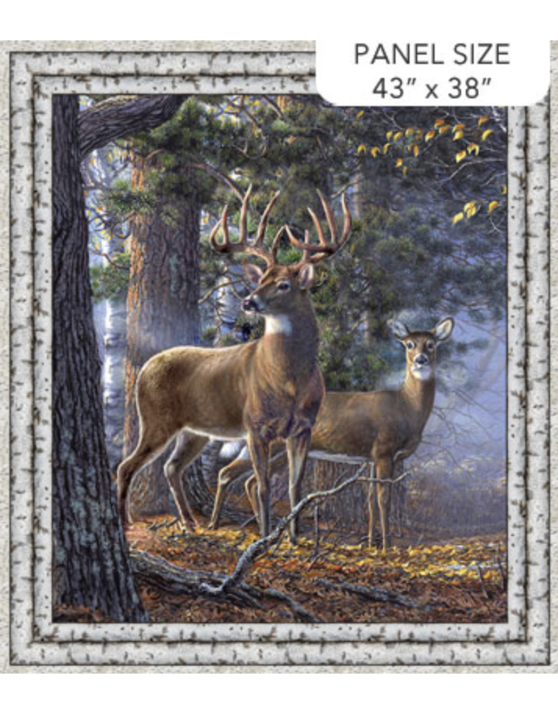 Northcott First Light  Panel DP26760-95