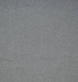 Shannon Fabrics Cuddle Ash