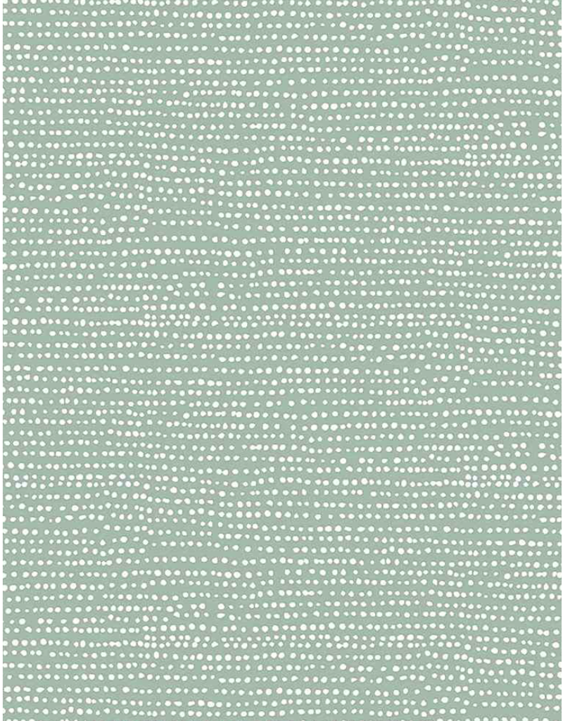 Moonscape - Lagoon  DS1150