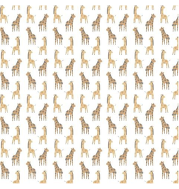 Grasslands Stand Tall  White - DSD2933