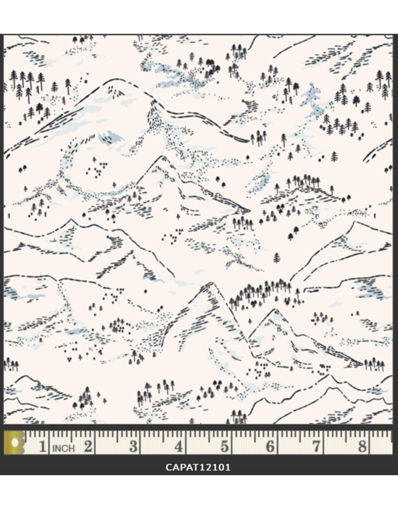 AGF Collection Arctic Tale -Arctic Winterscape - CAPAT12101