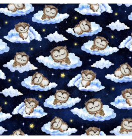 Timeless Treasures Owls on Clouds - CD3295