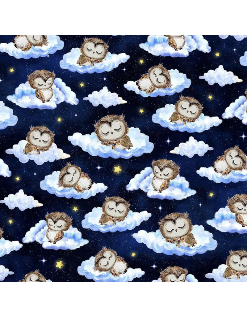 Timeless Treasures Owls on Clouds - CD3295