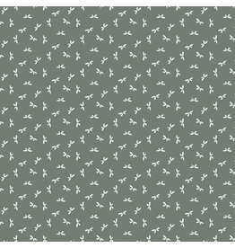 Charmwood Dragonflies - Spruce