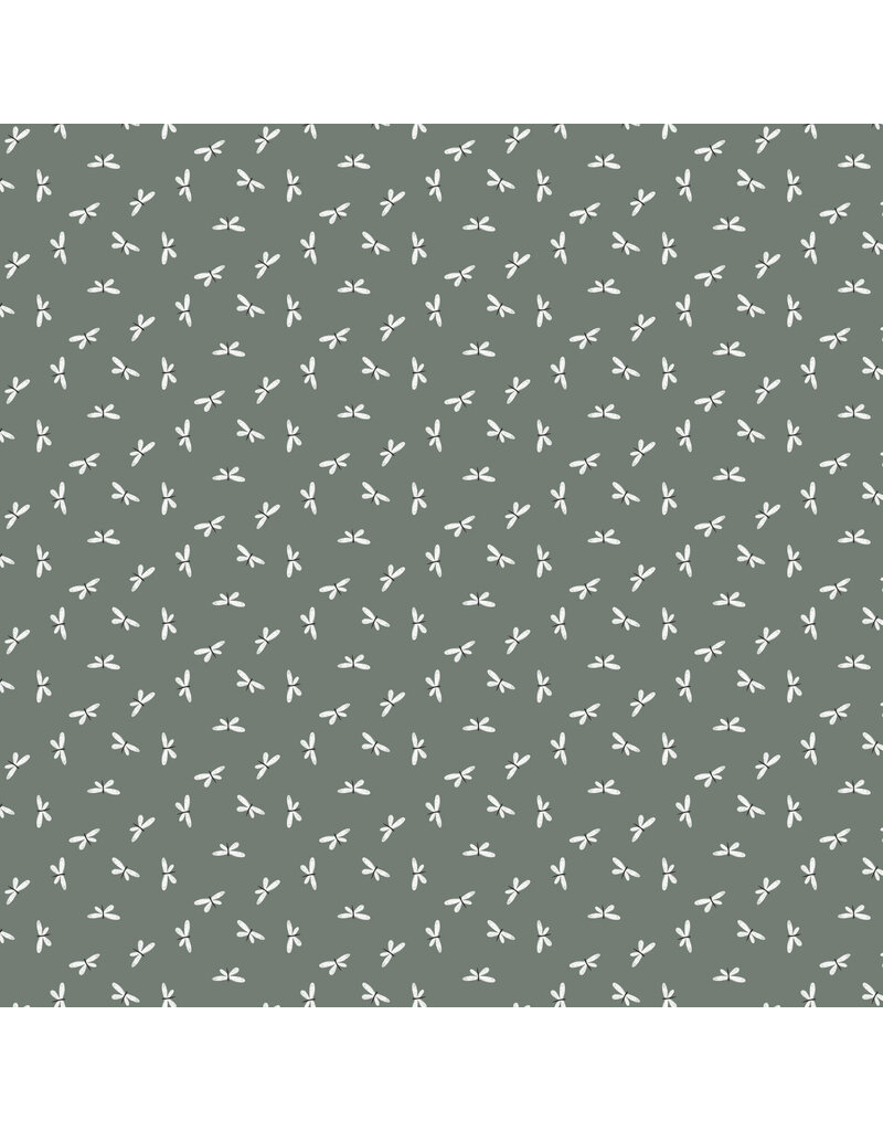 Charmwood Dragonflies - Spruce