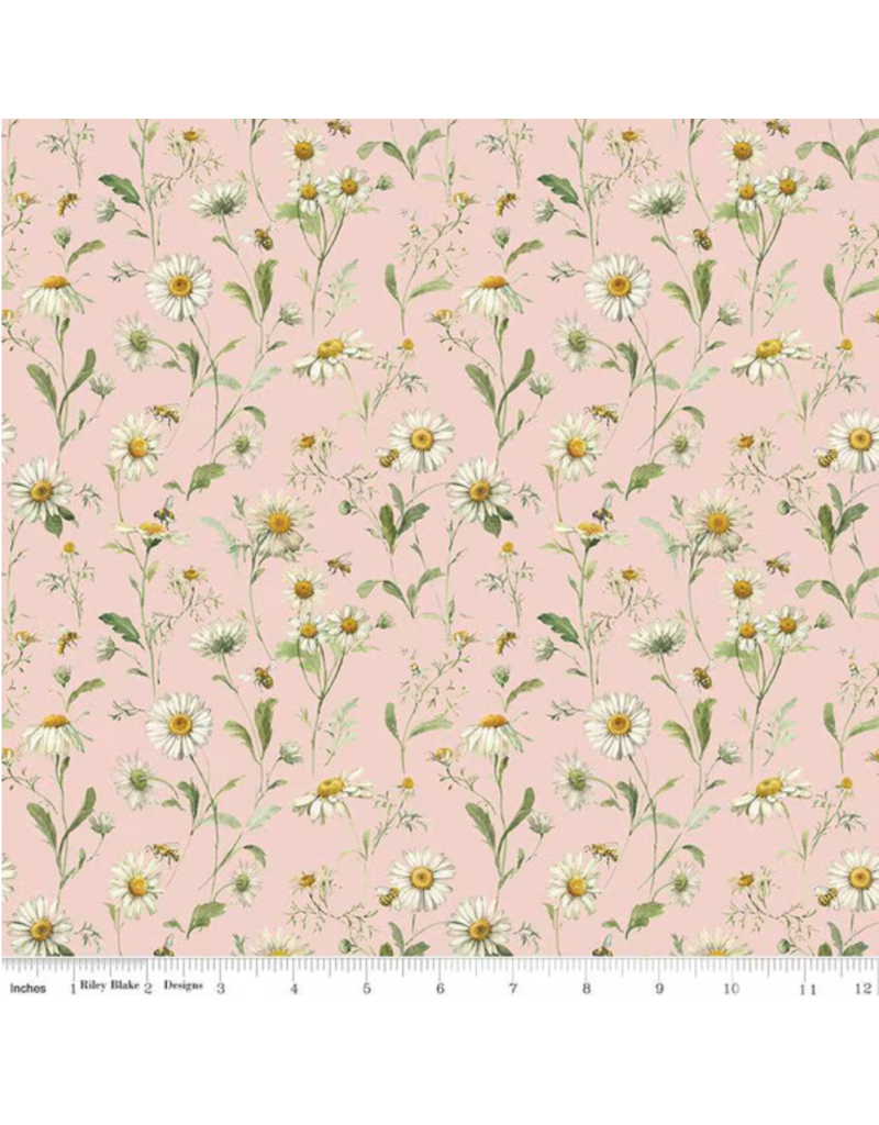 Love Me More - Daisies - Blush