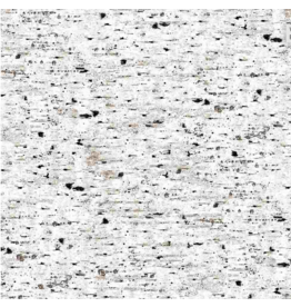 Timeless Treasure Misty Mountain - Birch Tree Texture  - CD1646