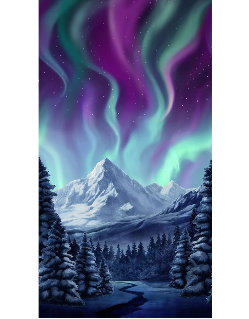 Timeless Treasure Northern Lights Panel - CD3494