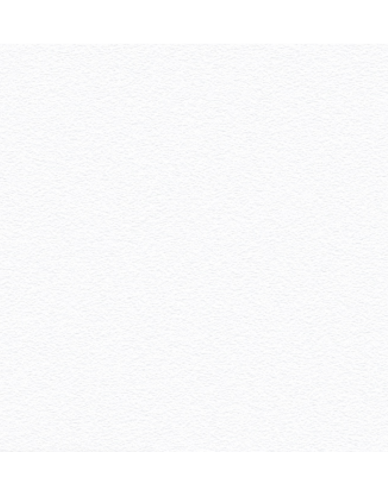 Tender Touch Bleached Cotton Batting (120" wide)